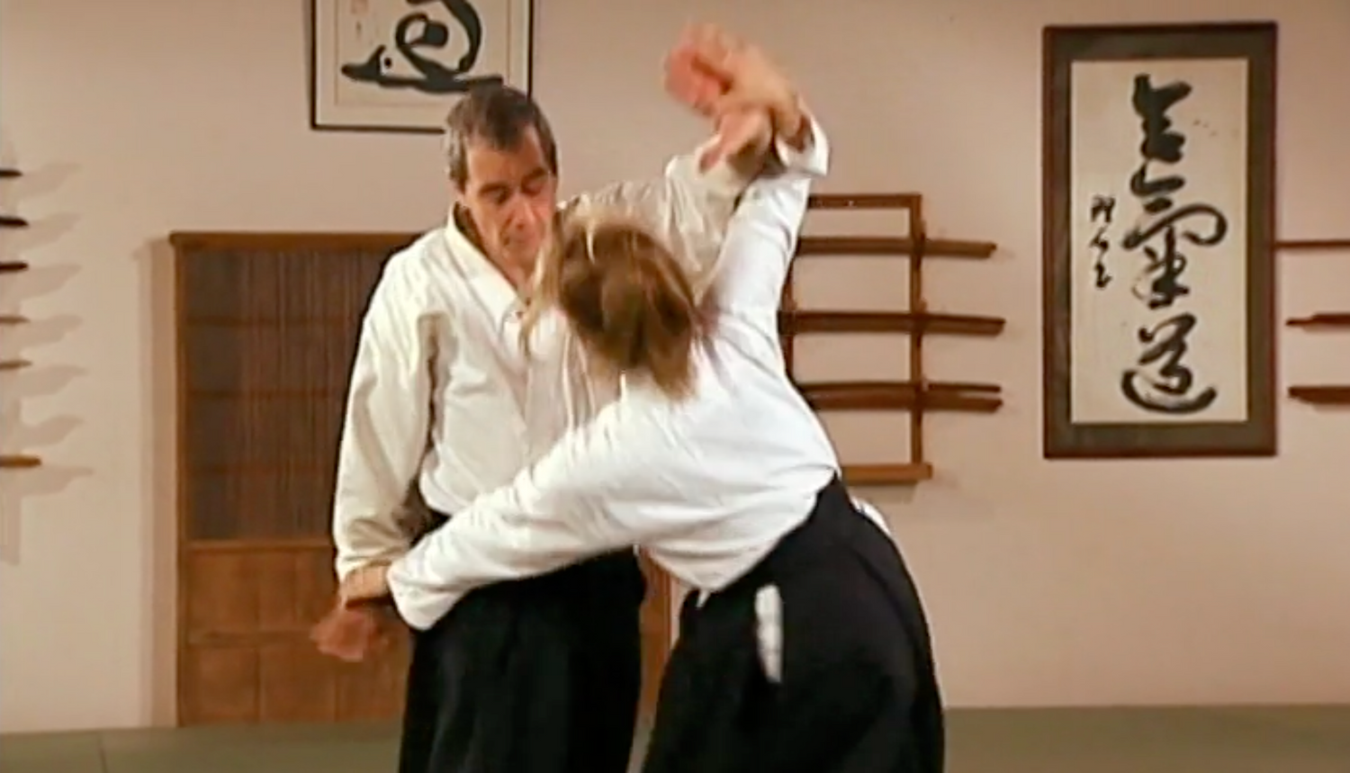 Aikido in Three Easy Lessons DVD by Richard Moon (Preowned) - Budovideos