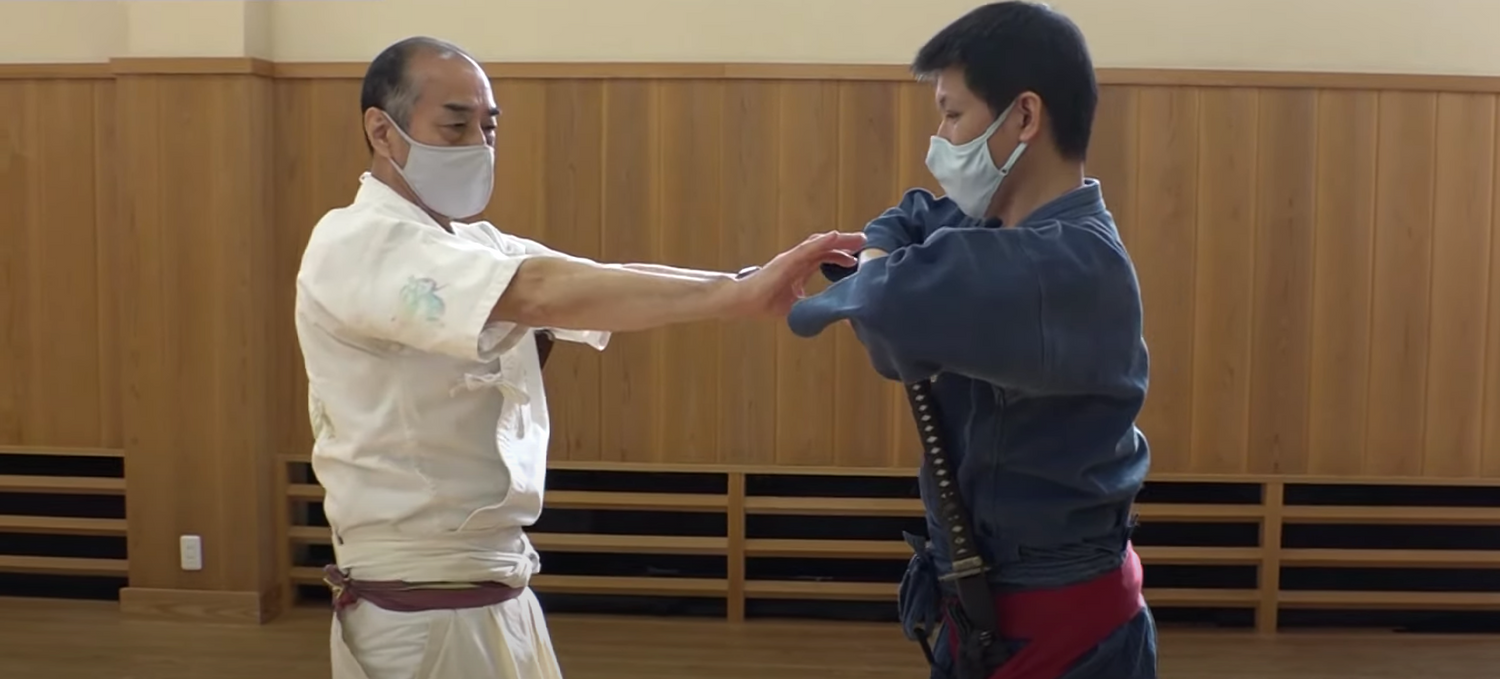 Bujutsu Training DVD by Tetsuzan Kuroda - Budovideos