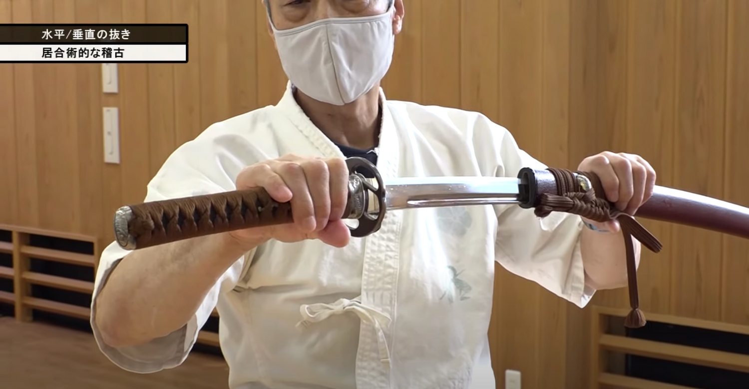 Bujutsu Training DVD by Tetsuzan Kuroda - Budovideos