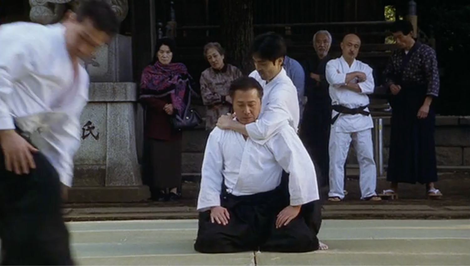 Aiki The Movie DVD (Preowned) - Budovideos