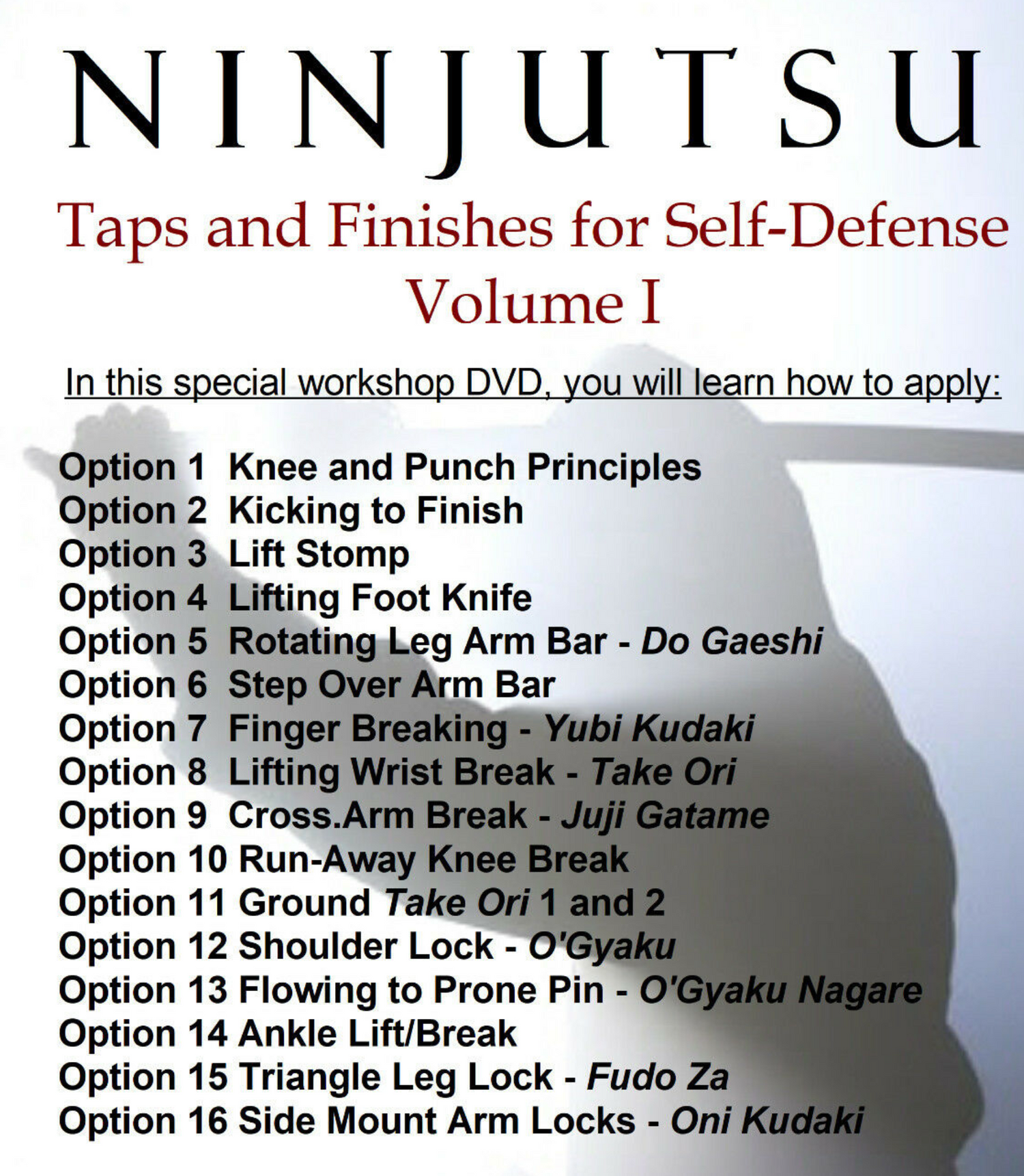 Ninjutsu Tap Outs & Finishes DVD with Todd Norcross - Budovideos Inc