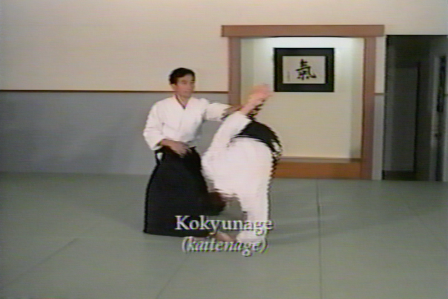 Taigi Arts of Ki 2 VHS Set by Koichi Kashiwaya (Preowned) - Budovideos Inc