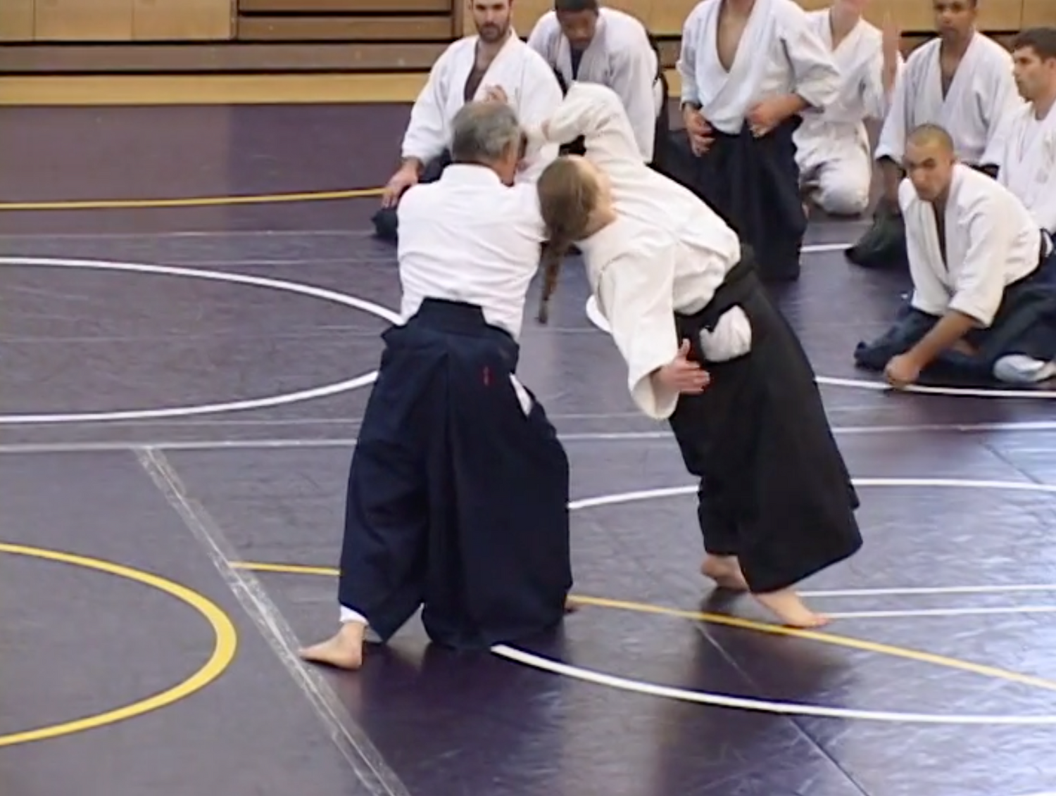 Birankai Aikido 2006 Summer Camp DVD with TK Chiba - Budovideos Inc