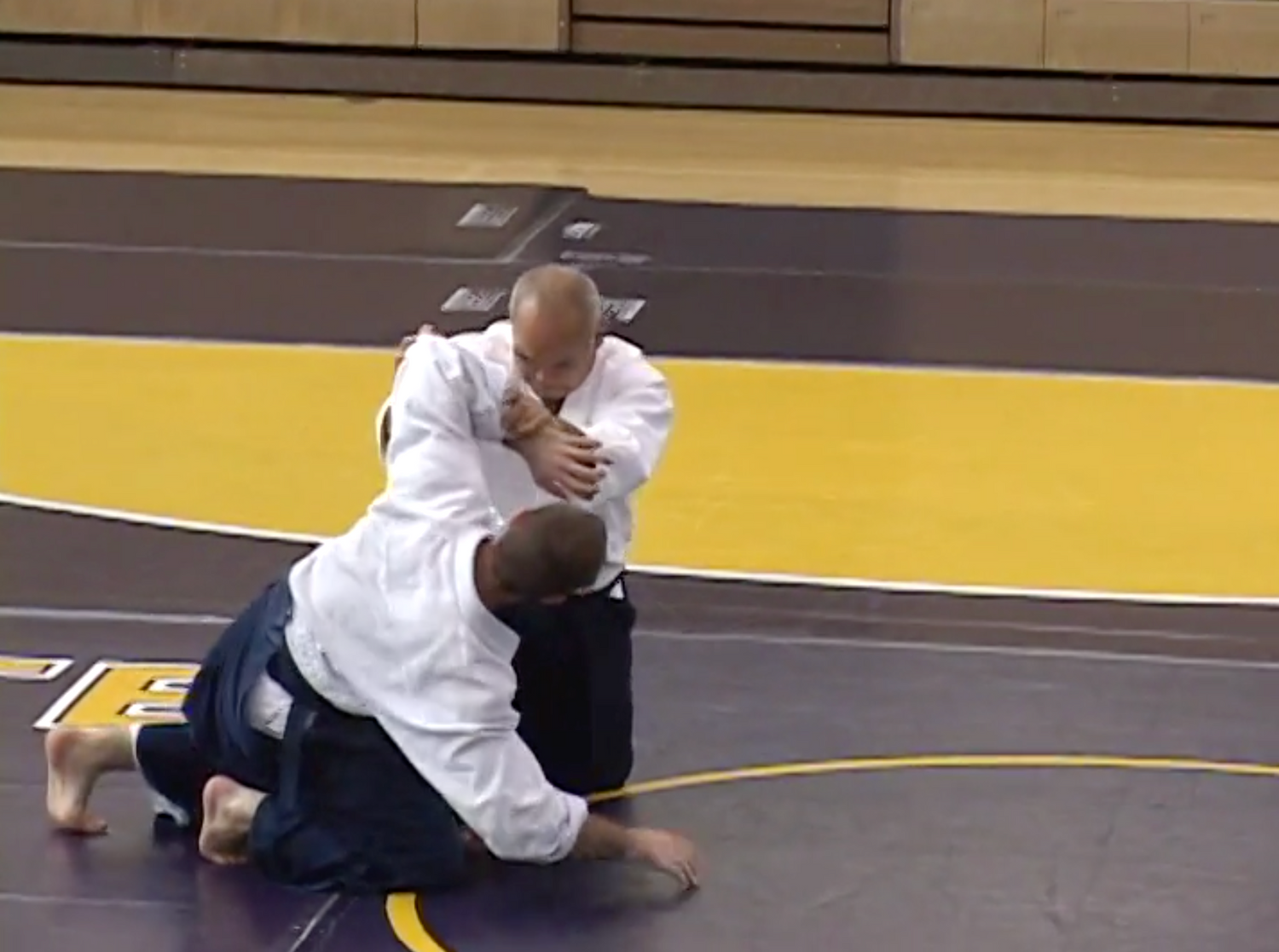 Birankai Aikido 2004 Summer Camp 3 DVD Set with TK Chiba - Budovideos Inc