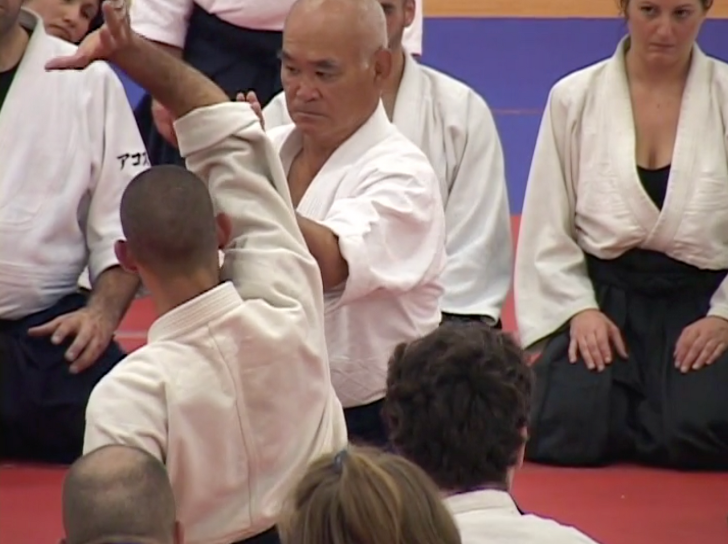 Birankai Aikido 2009 Summer Camp DVD with TK Chiba - Budovideos Inc