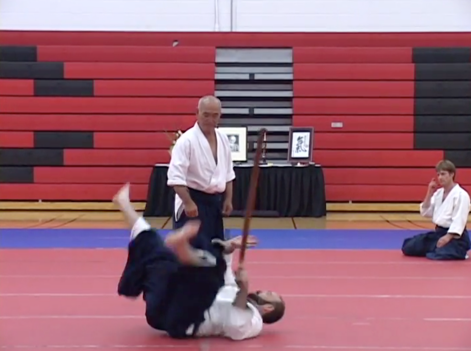 Birankai Aikido 2009 Summer Camp DVD with TK Chiba - Budovideos Inc