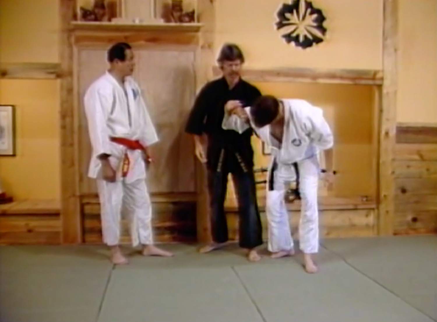 Advanced Aikijujutsu DVD with Bernie Lau, Wally Jay, James DeMile, Koichi Tohei & Morihei Ueshiba (Preowned) - Budovideos Inc