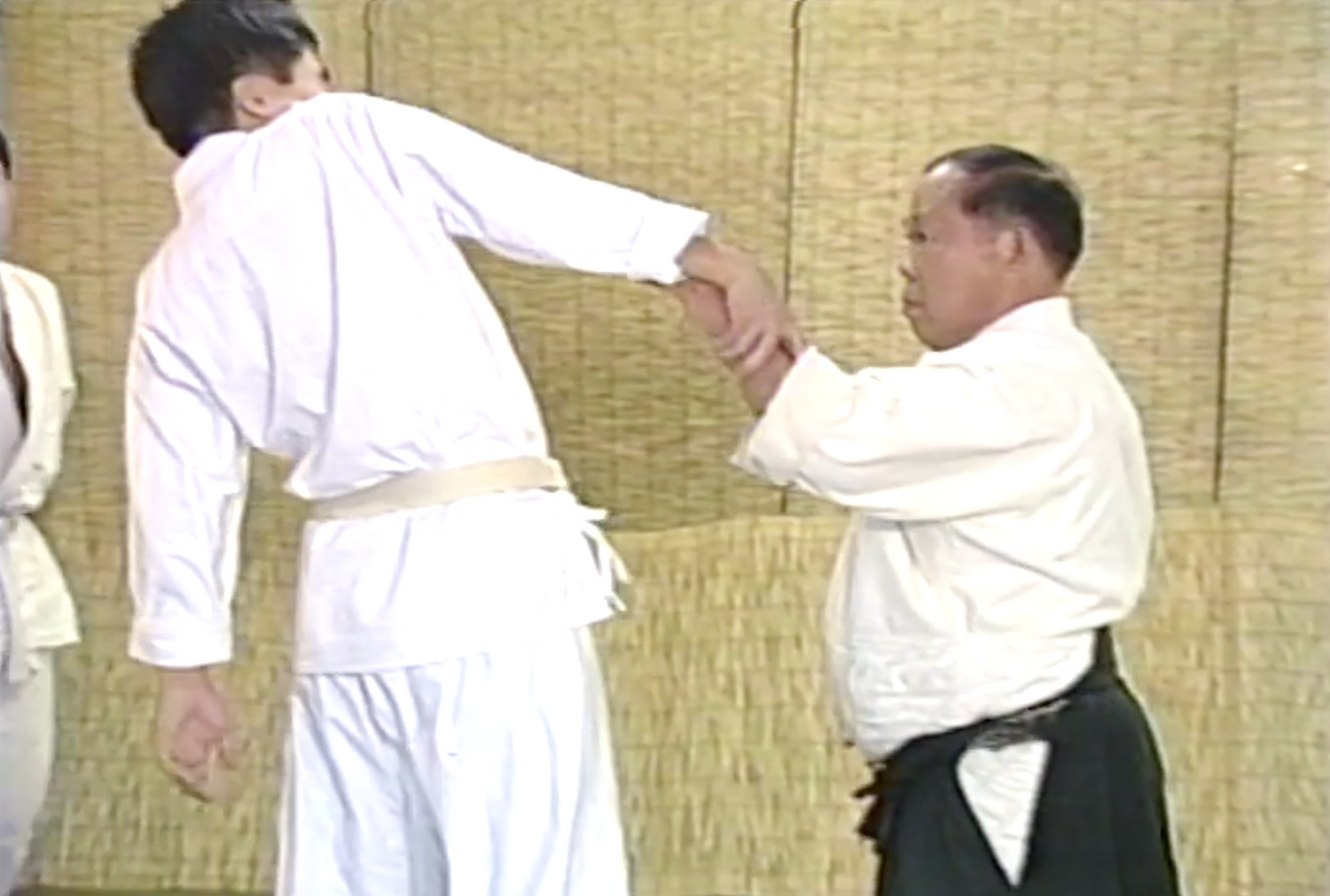 Daito Ryu Aikijujutsu: Aiki no Waza VHS by Tadao Ogawa (Preowned) - Budovideos Inc