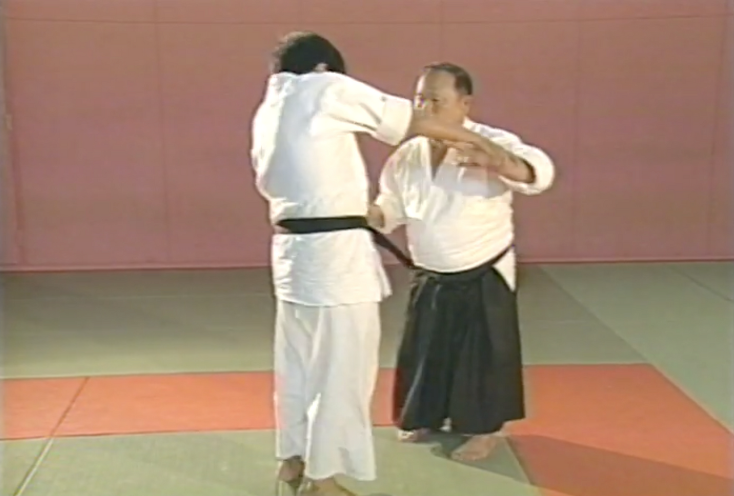 Daito Ryu Aikijujutsu: Aiki Principles VHS by Tadao Ogawa (Preowned) - Budovideos Inc