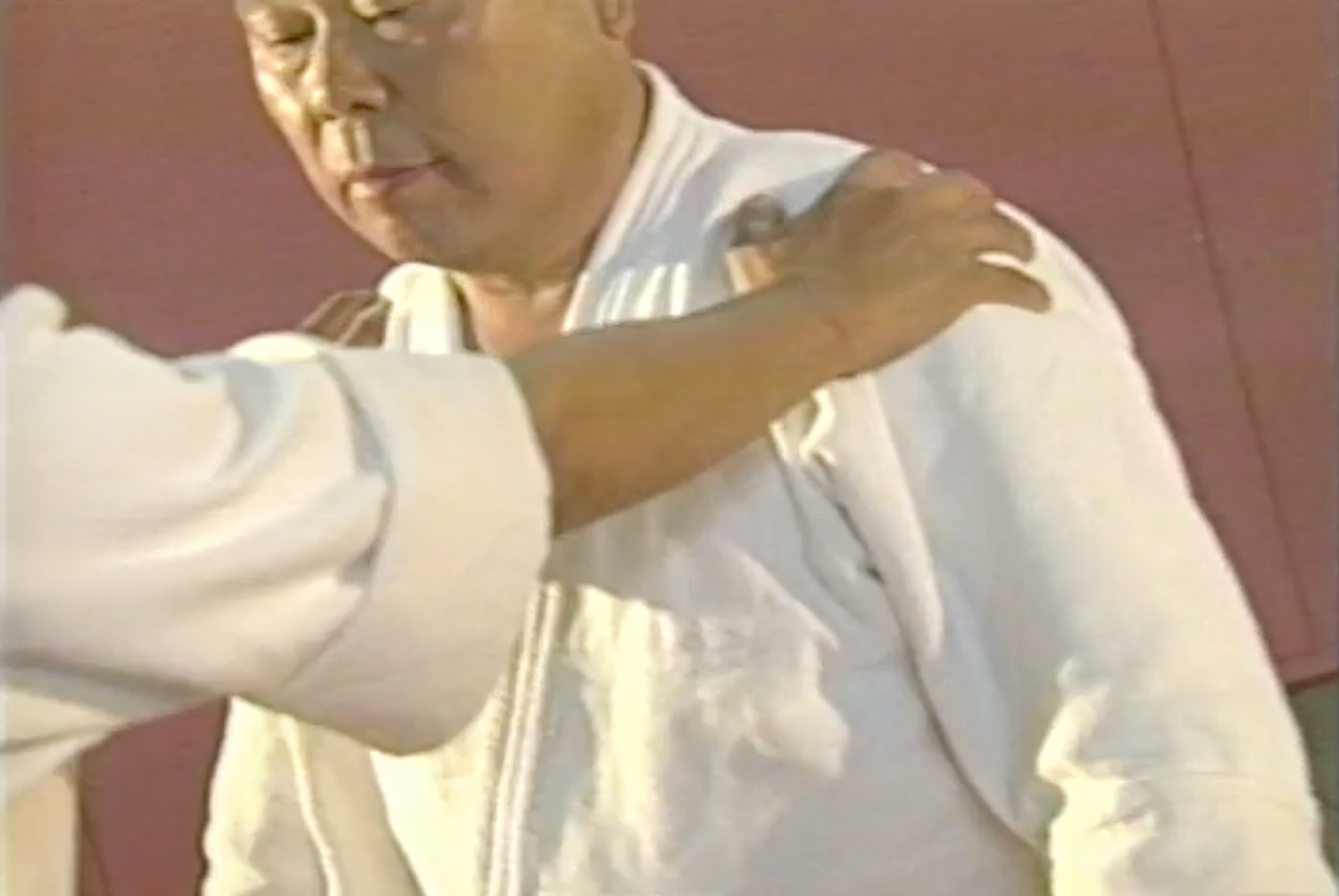 Daito Ryu Aikijujutsu: Aiki Principles VHS by Tadao Ogawa (Preowned) - Budovideos Inc