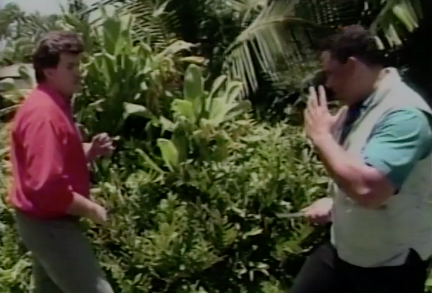 The Defensive Edge DVD 1 by Ernie Franco - Budovideos Inc