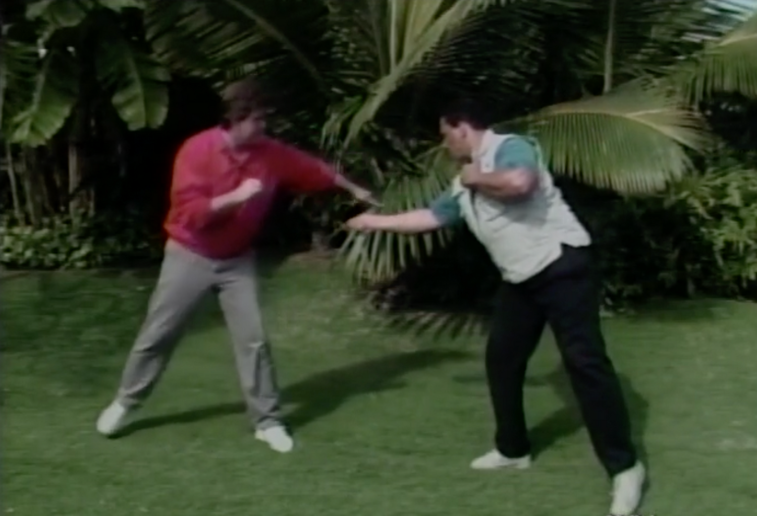 The Defensive Edge DVD 1 by Ernie Franco - Budovideos Inc