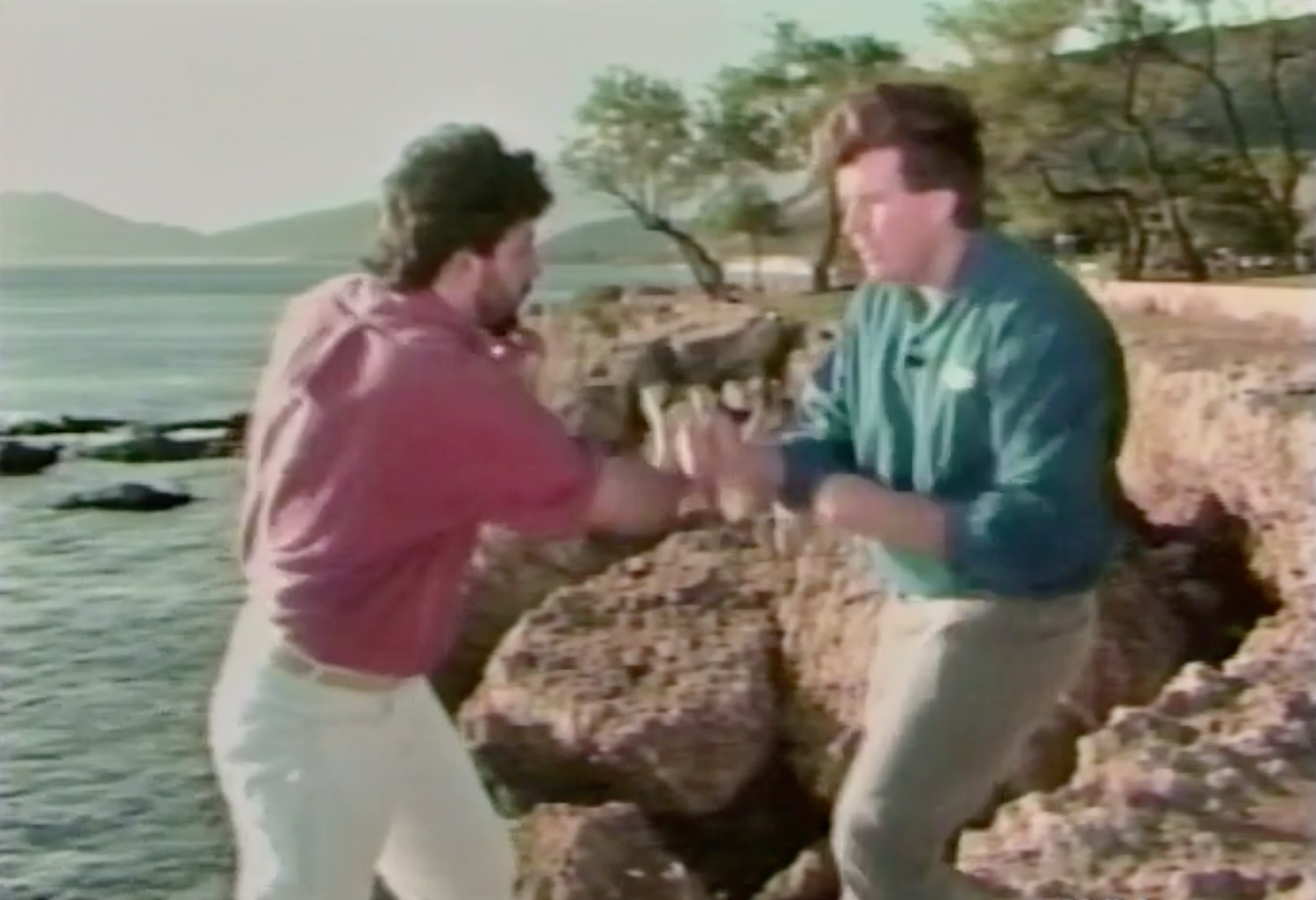 The Defensive Edge DVD 2 by Ernie Franco - Budovideos Inc