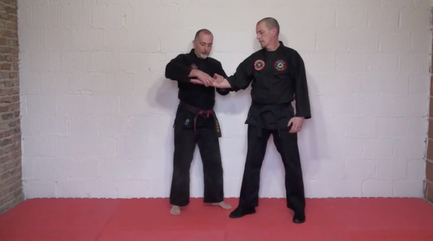 Kyusho Breakdown DVD by Gianluca Frisan - Budovideos Inc
