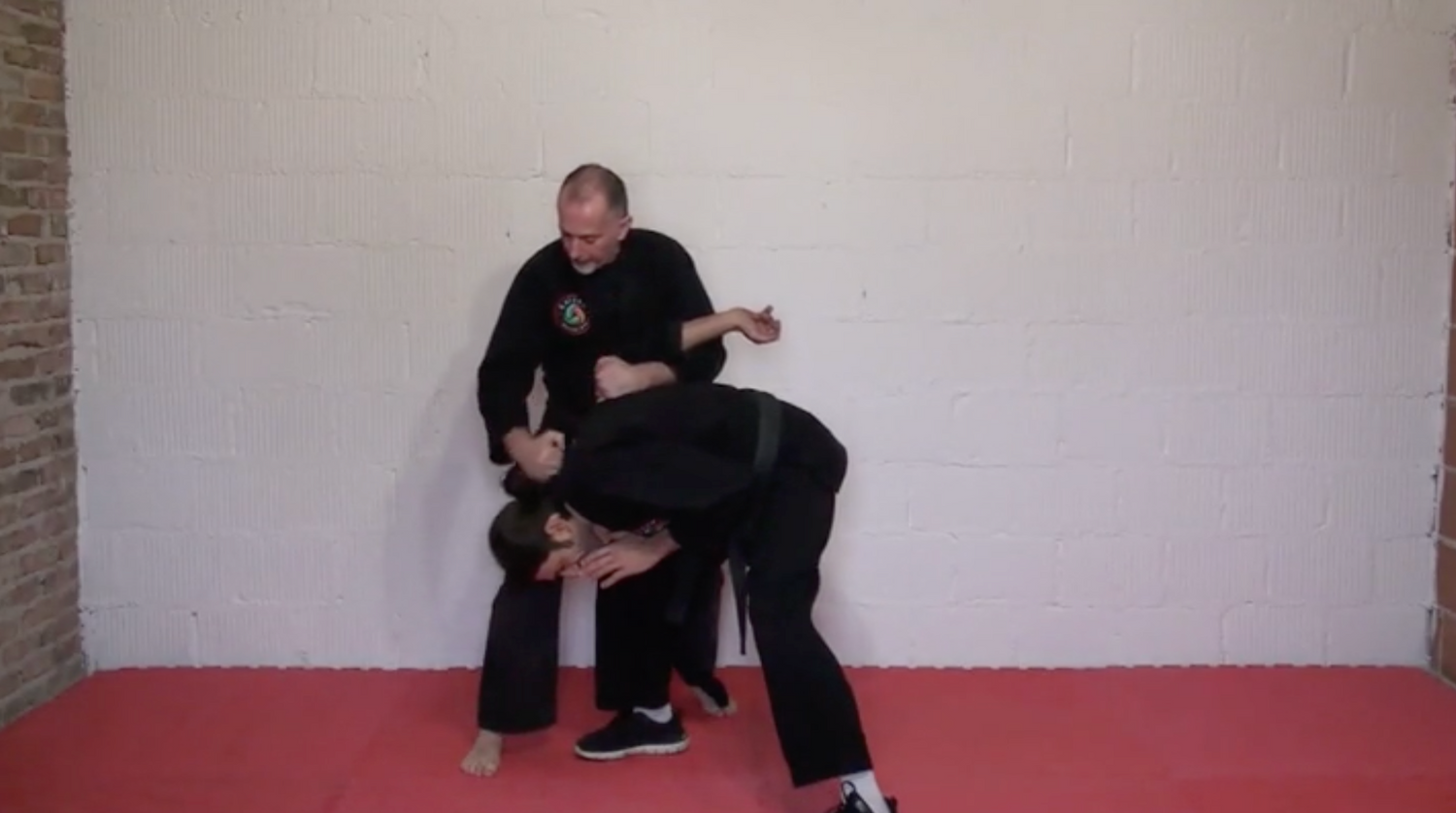 Kyusho Breakdown DVD by Gianluca Frisan - Budovideos Inc
