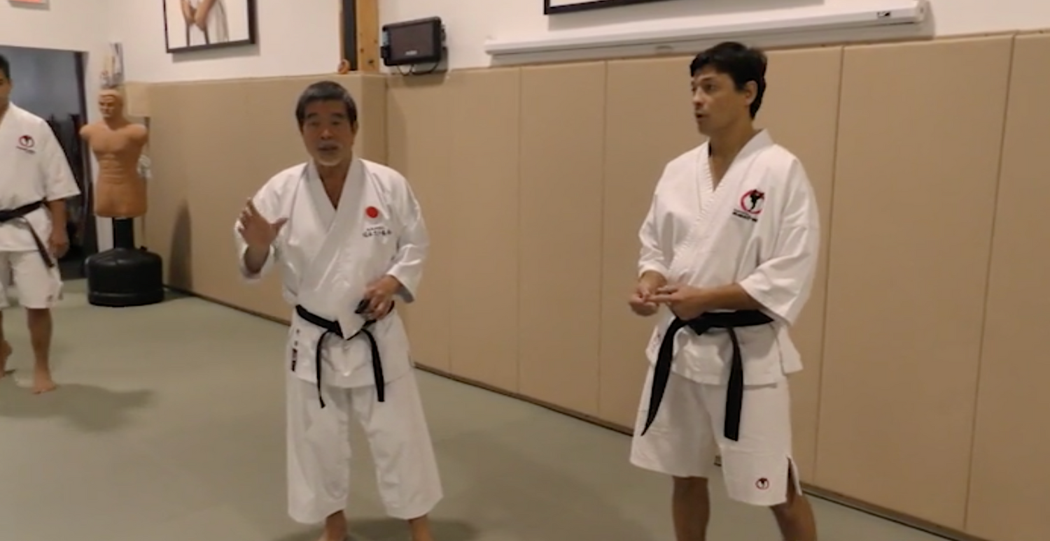 Machida Karate 2019 Super Seminar 3 DVD Set - Budovideos Inc