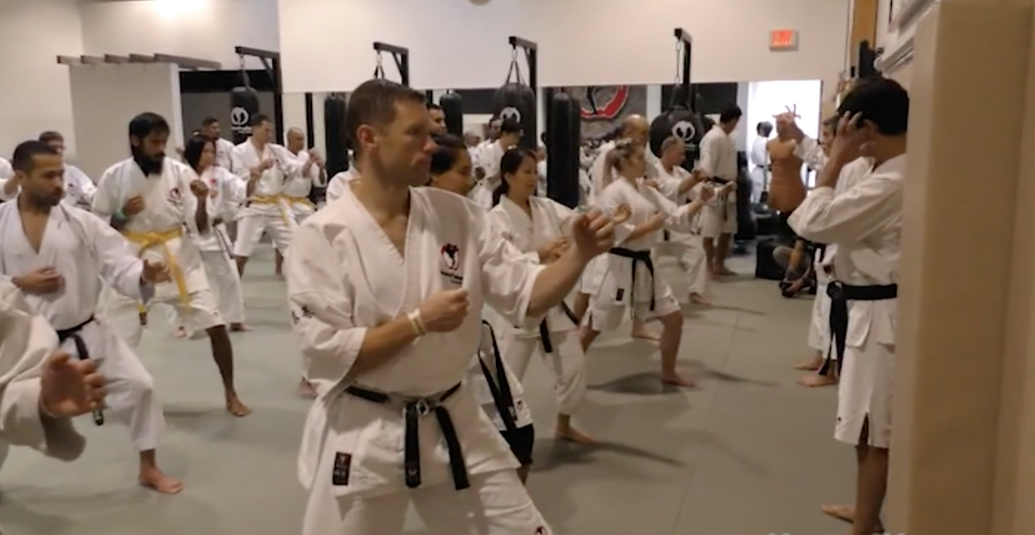 Machida Karate 2019 Super Seminar 3 DVD Set - Budovideos Inc