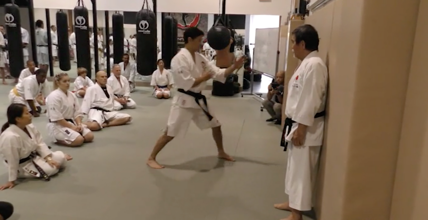 Machida Karate 2019 Super Seminar 3 DVD Set - Budovideos Inc