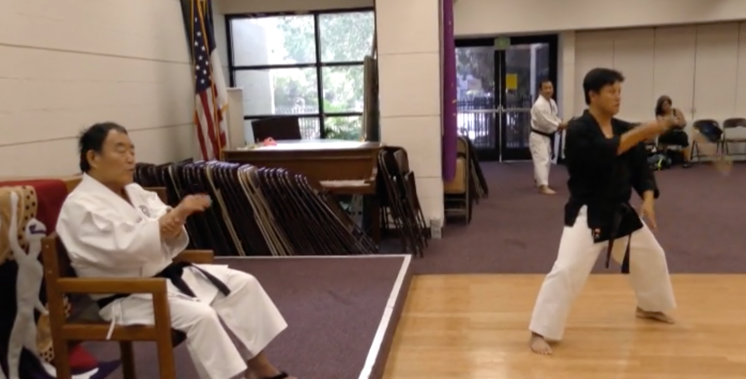 Tak Kubota & Fumio Demura 2015 Nikkei Games Seminar DVD - Budovideos Inc