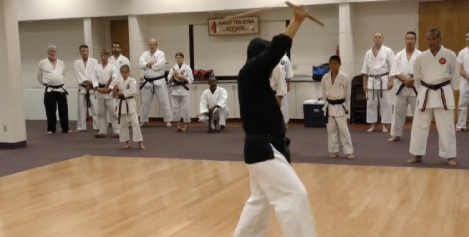 Tak Kubota & Fumio Demura 2015 Nikkei Games Seminar DVD - Budovideos Inc