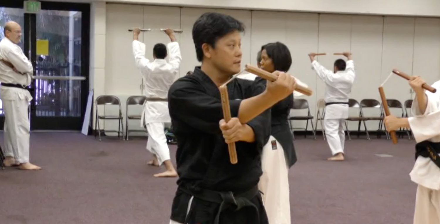 Tak Kubota & Fumio Demura 2015 Nikkei Games Seminar DVD - Budovideos Inc