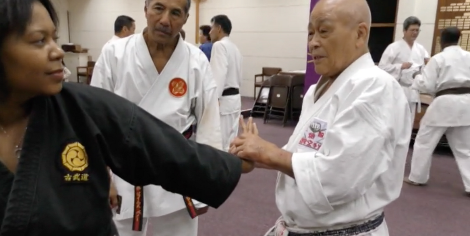 Tak Kubota & Fumio Demura 2015 Nikkei Games Seminar DVD - Budovideos Inc