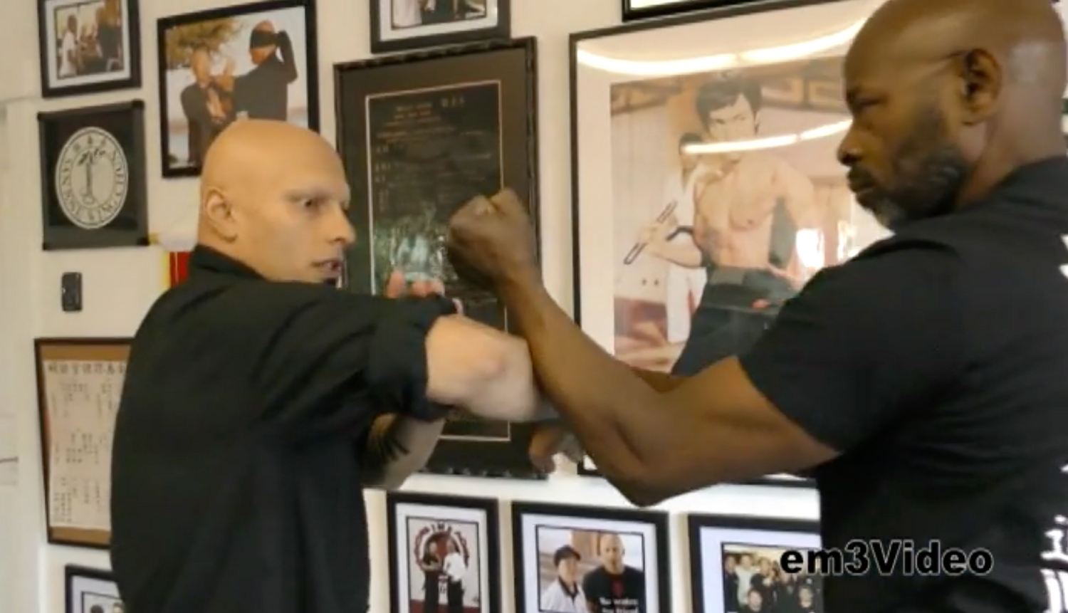 Sight Beyond Sight: Wing Chun Energy Drills 2 DVD Set with Harinder Singh Sabharwal - Budovideos Inc