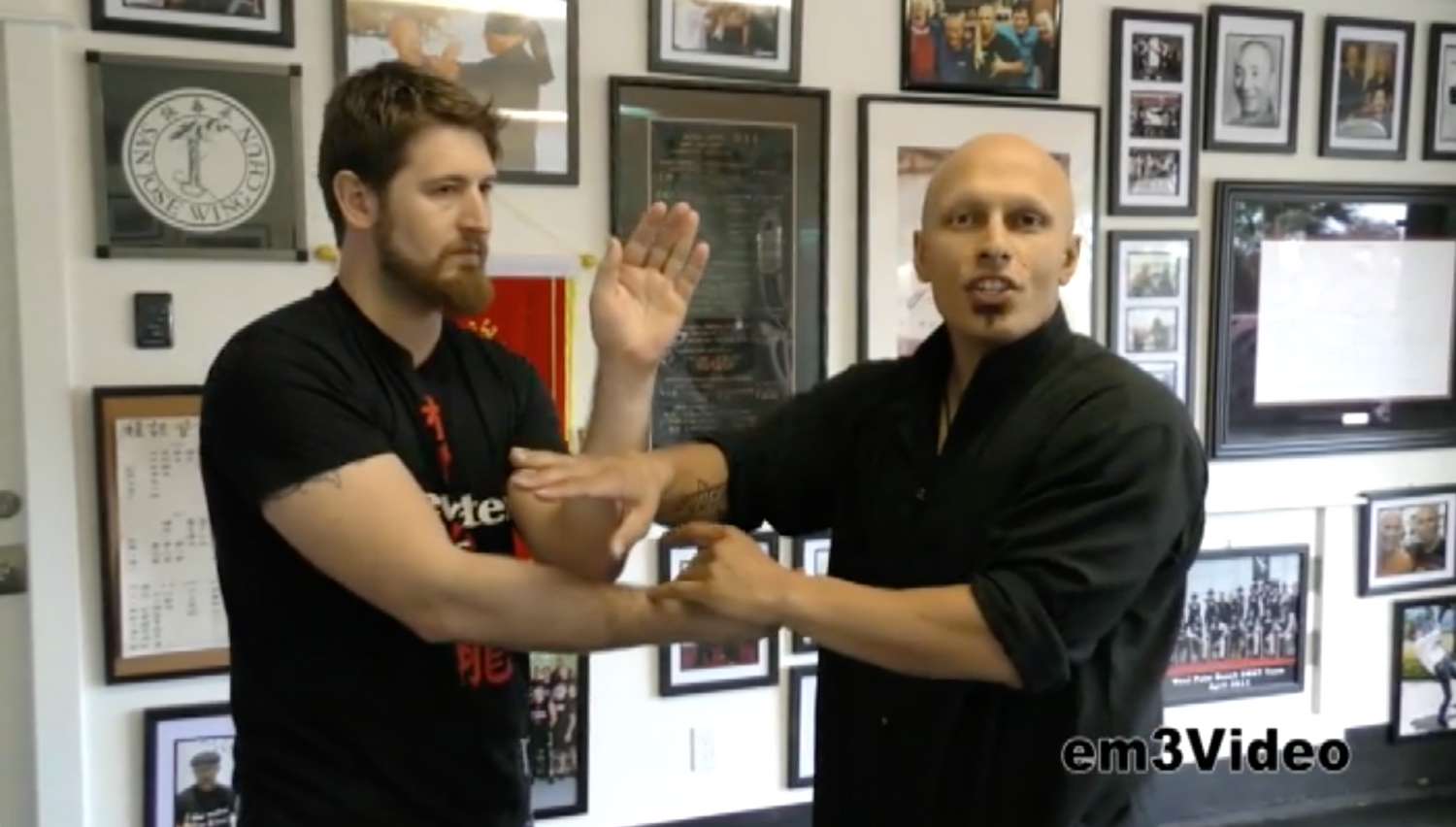 Sight Beyond Sight: Wing Chun Energy Drills 2 DVD Set with Harinder Singh Sabharwal - Budovideos Inc