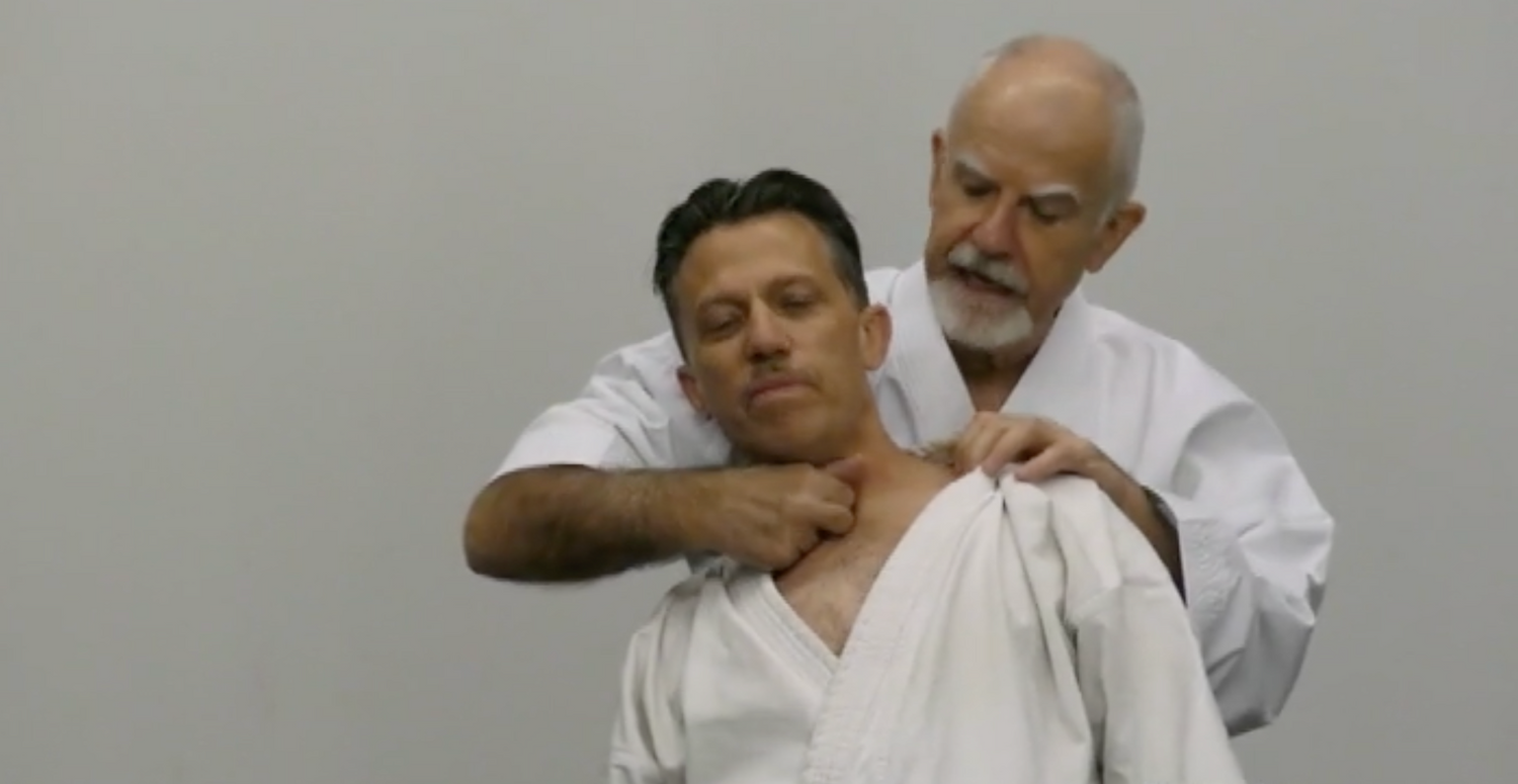 Koryu Uchinadi Vol 3: Bunkai-jutsu (3 DVD Set) By Patrick McCarthy - Budovideos Inc