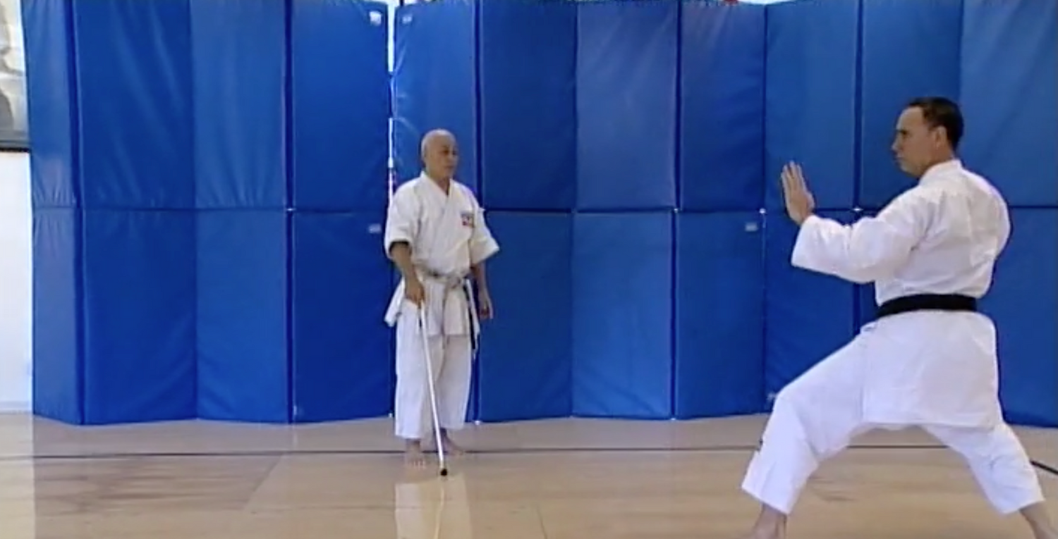 Kubota Kata Series Go Soku Ryu & Traditional Kata 4 DVD Set by Tak Kubota - Budovideos Inc