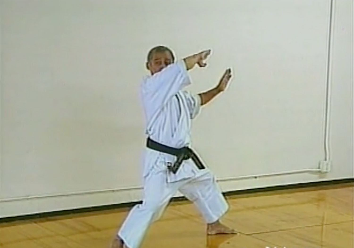 Kubota Kata Series Go Soku Ryu & Traditional Kata 4 DVD Set by Tak Kubota - Budovideos Inc