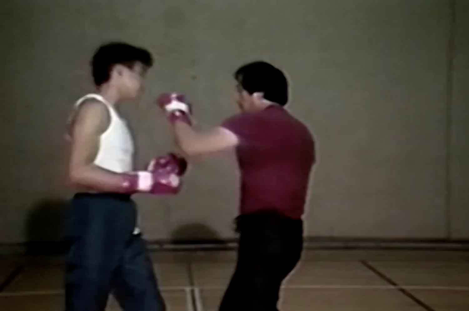 Explosive Knockout Hands Combinations DVD by Leo Fong - Budovideos Inc