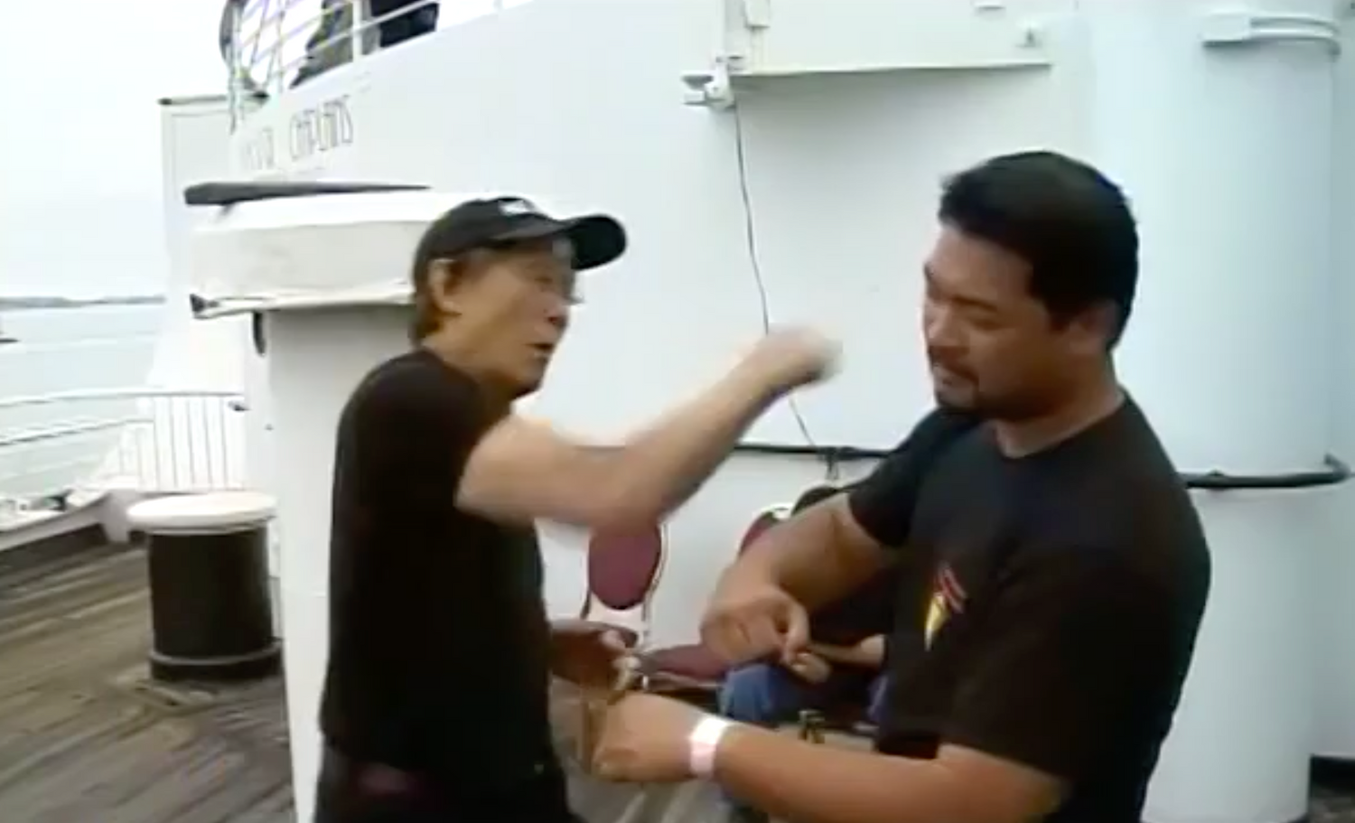 Explosive Knockout Hands Combinations DVD by Leo Fong - Budovideos Inc