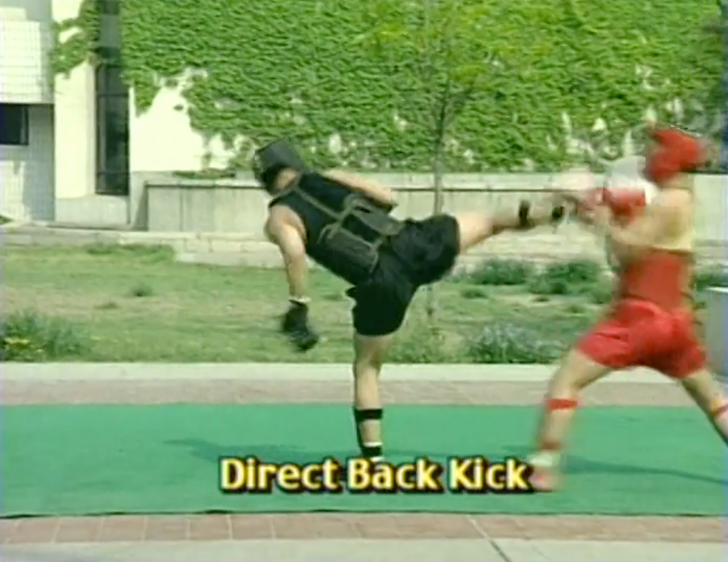 Kung Fu Fighting Sanshou 2 DVD Set - Budovideos Inc