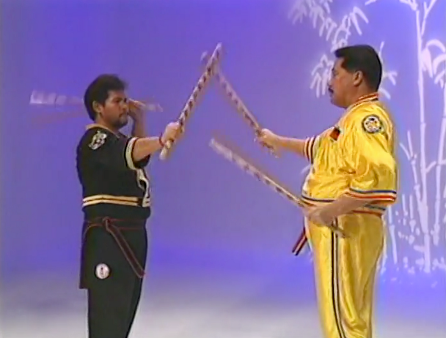 Philippine Combative Arts Series 11 DVD Set by Ernesto A. Presas - Budovideos Inc