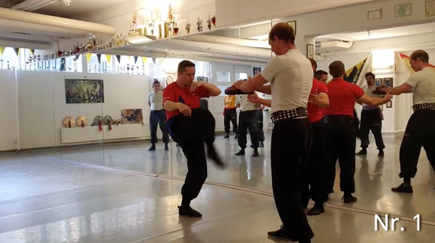 Bak Hok Pai White Crane Kung Fu DVD by Martin Sewer