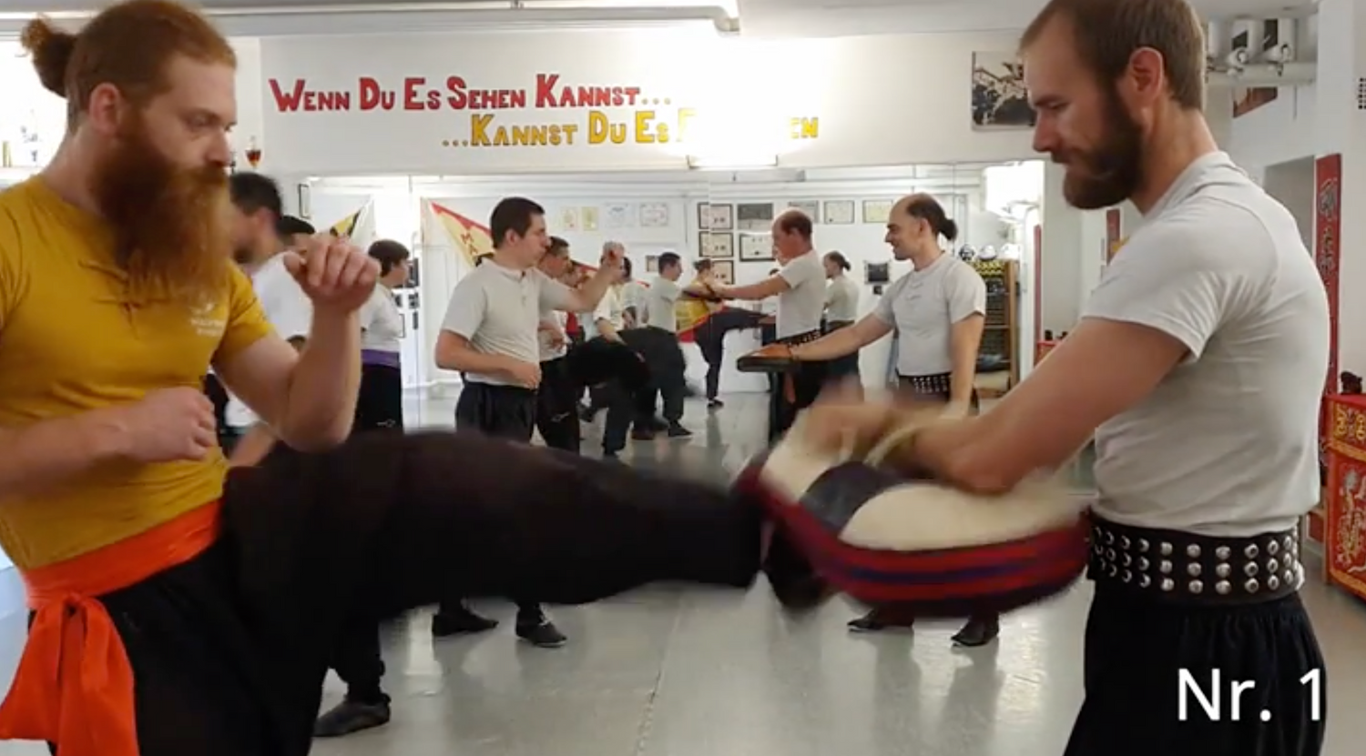 Bak Hok Pai White Crane Kung Fu DVD by Martin Sewer