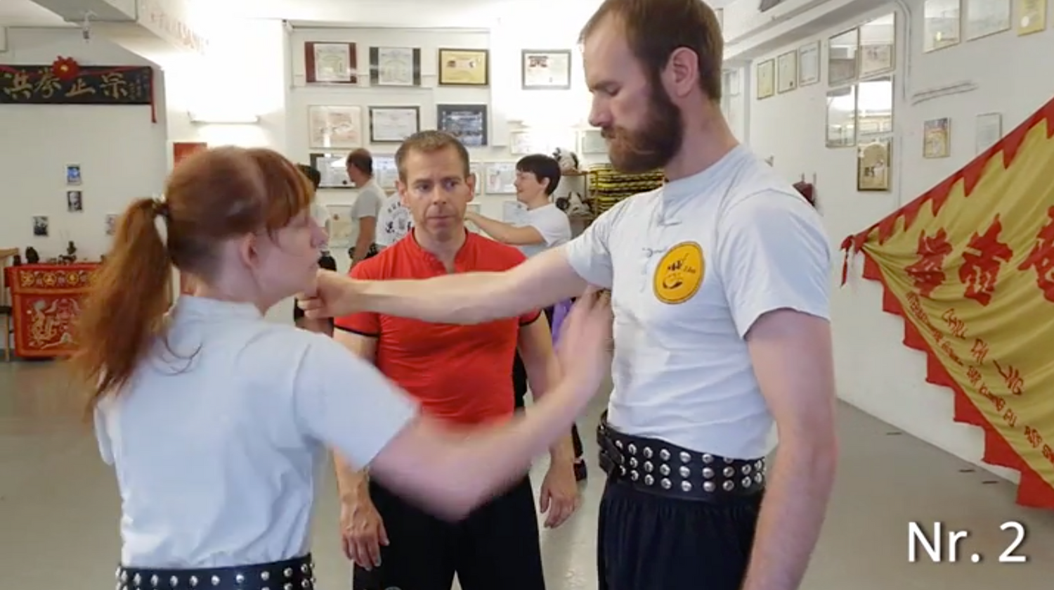 Bak Hok Pai White Crane Kung Fu DVD by Martin Sewer