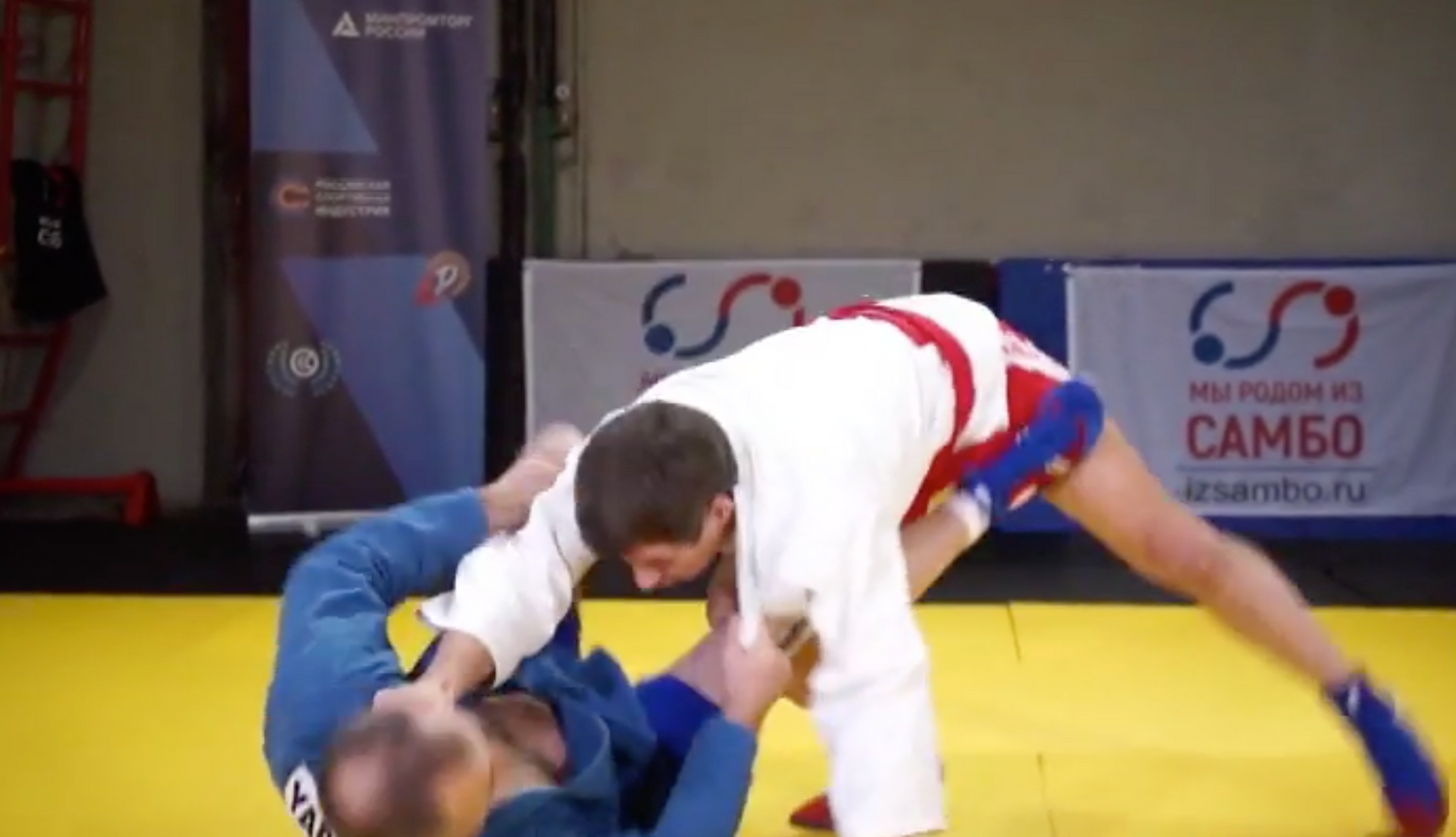 Sambo Technique & Self-Defense DVD by Evteev, Ivanitsky, Vasilchuk