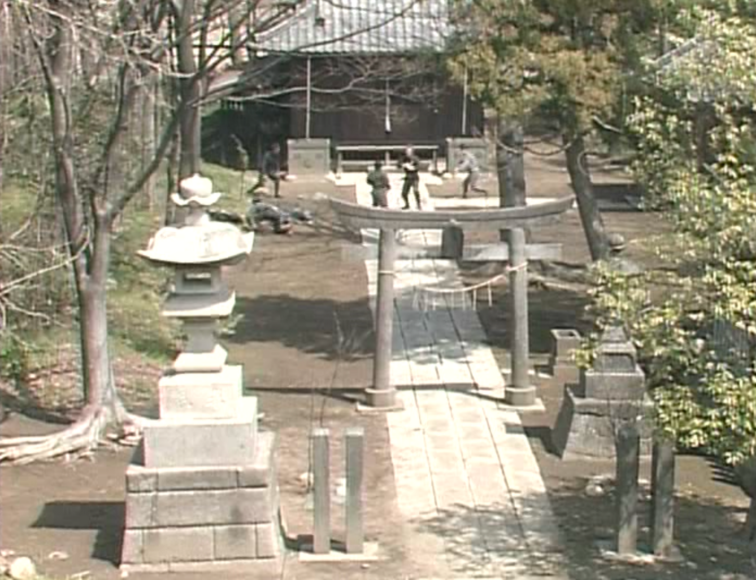 DVD Fundamentos de Togakure Ryu de Masaaki Hatsumi