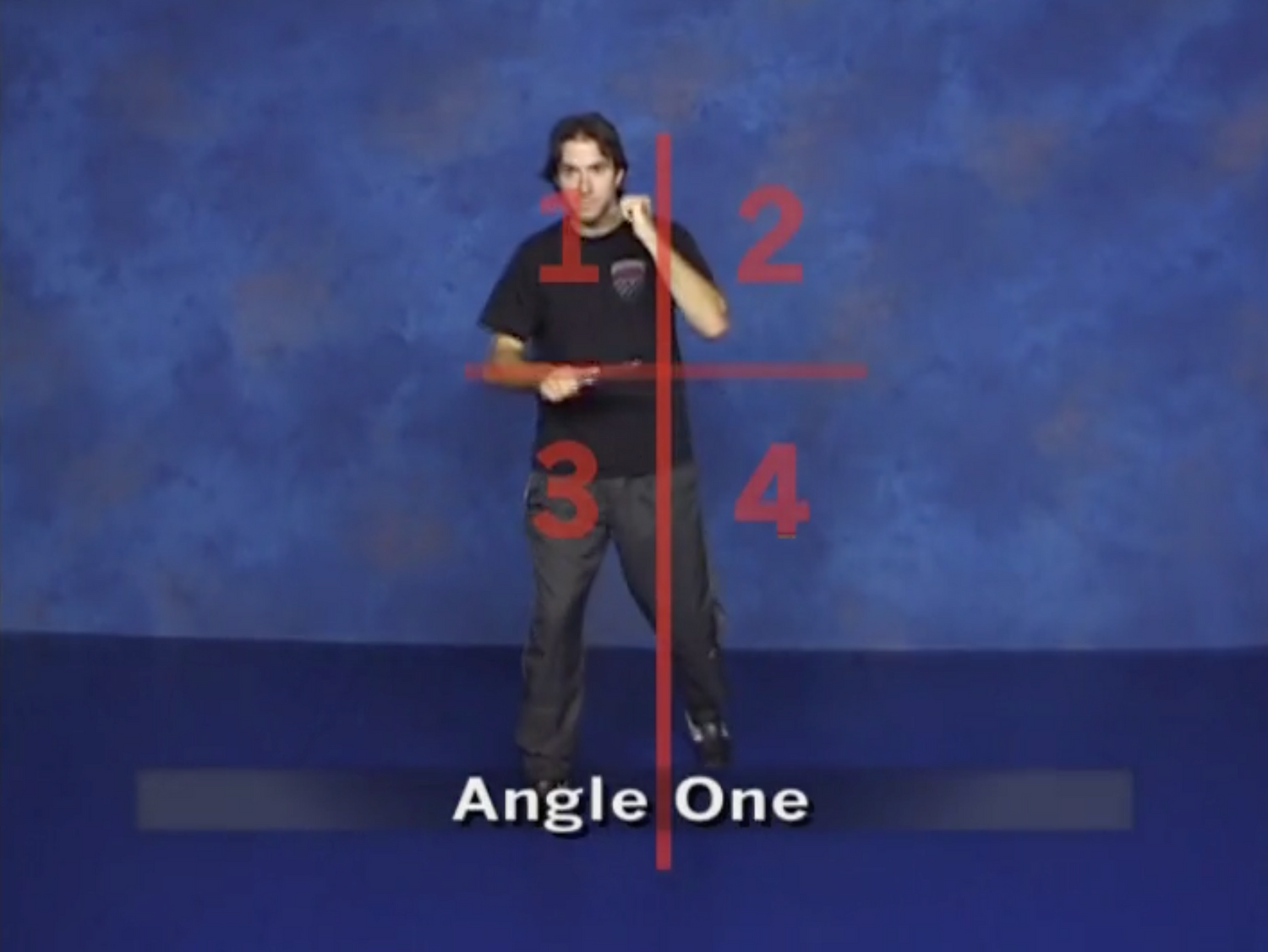 Counter Blade Concepts DVD by Michael Janich (Preowned)