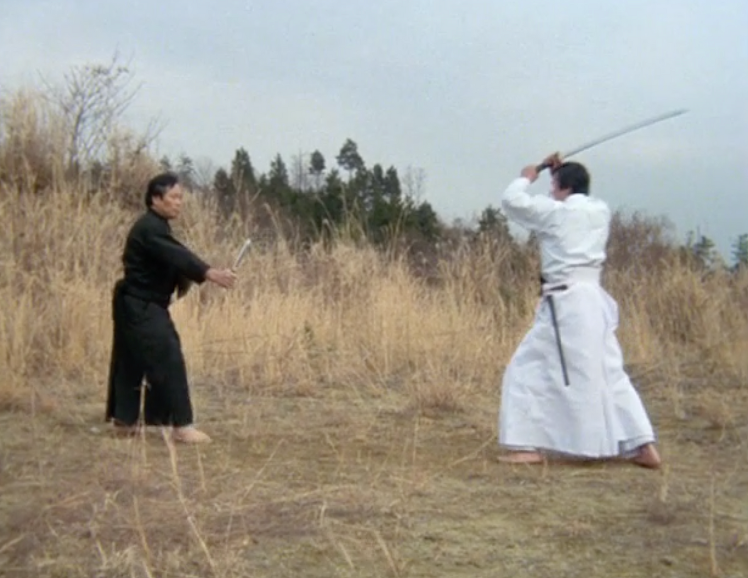 DVD documental Budo el arte de matar (seminuevo)