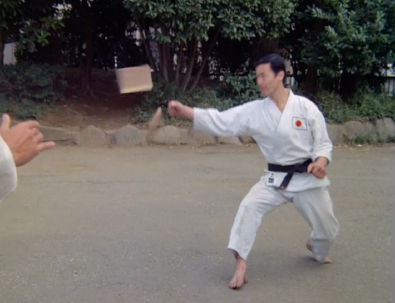 DVD documental Budo el arte de matar (seminuevo)