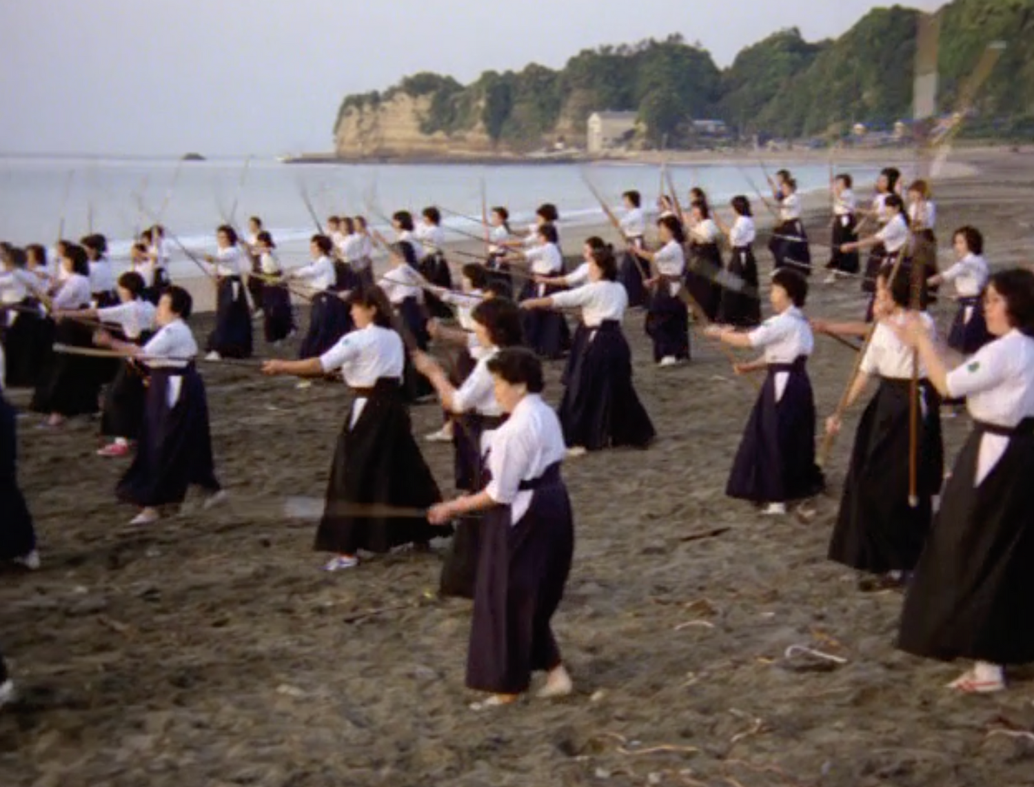 DVD documental Budo el arte de matar (seminuevo)