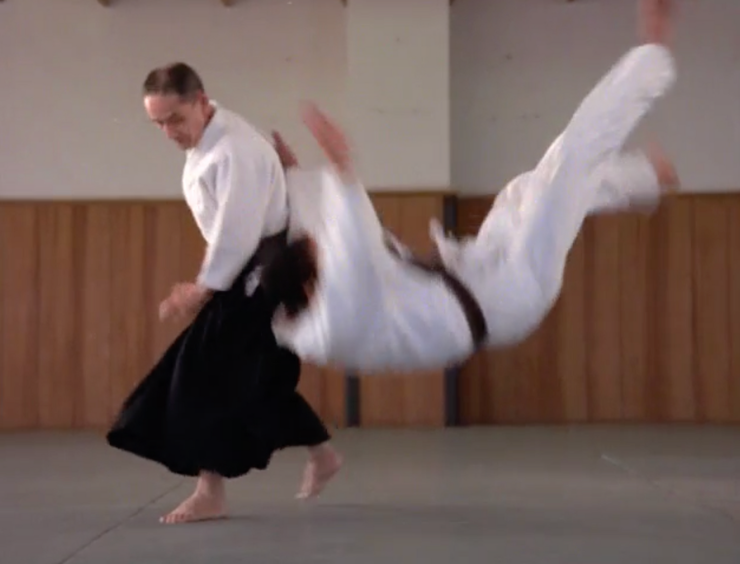 DVD documental Budo el arte de matar (seminuevo)