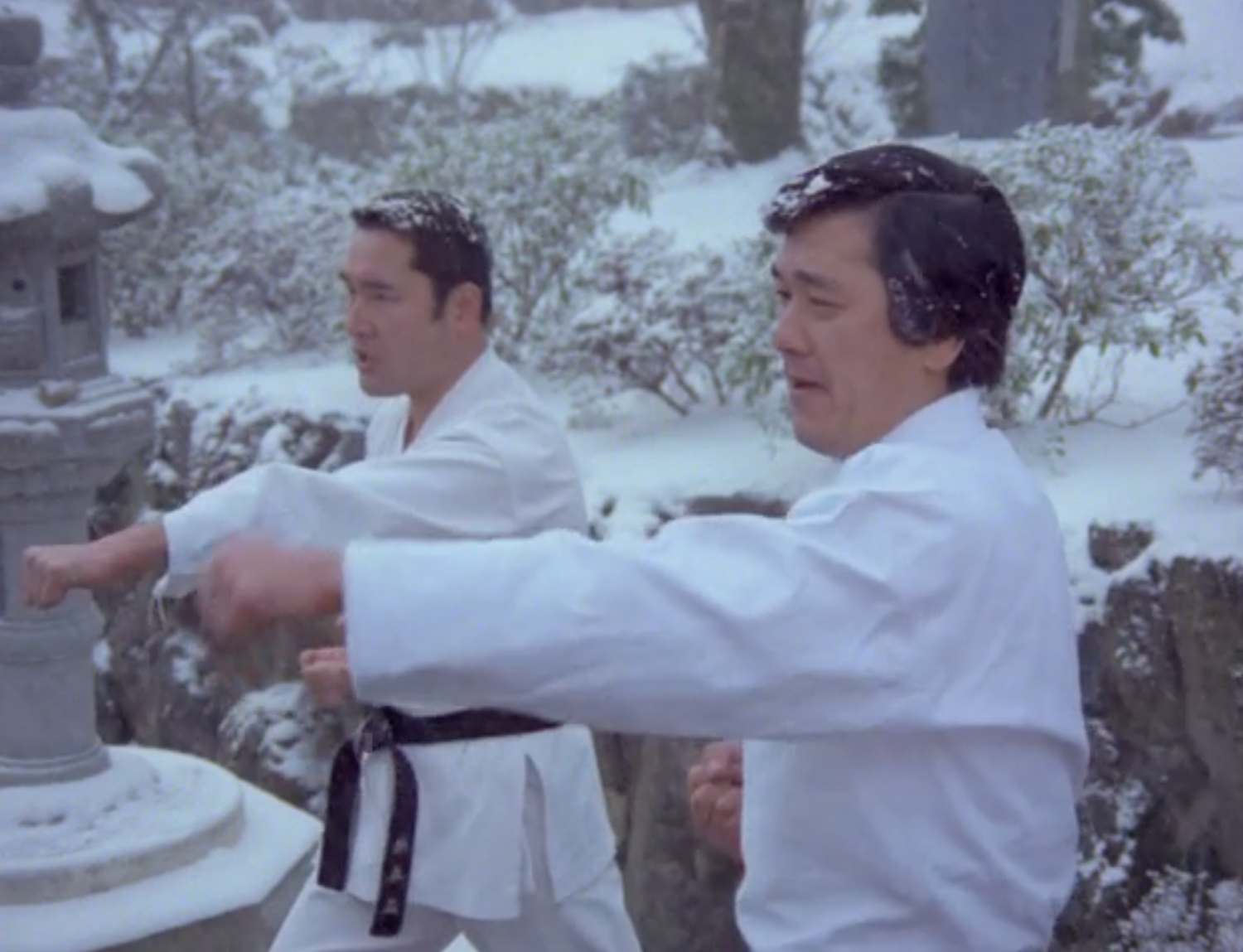 DVD documental Budo el arte de matar (seminuevo)