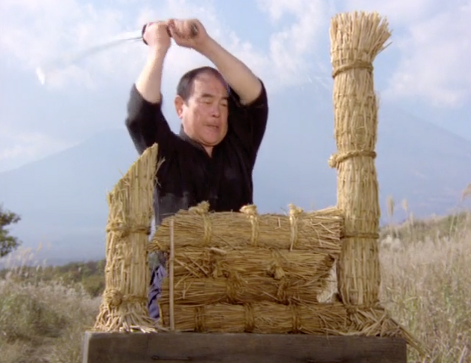 DVD documental Budo el arte de matar (seminuevo)