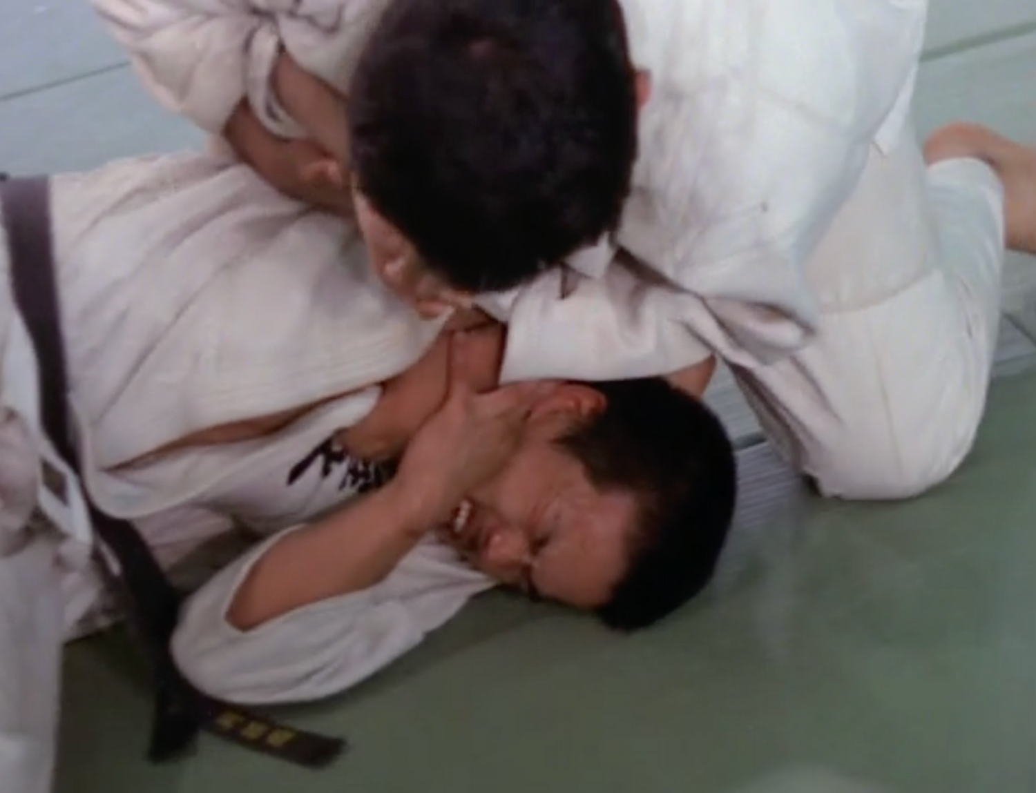 DVD documental Budo el arte de matar (seminuevo)