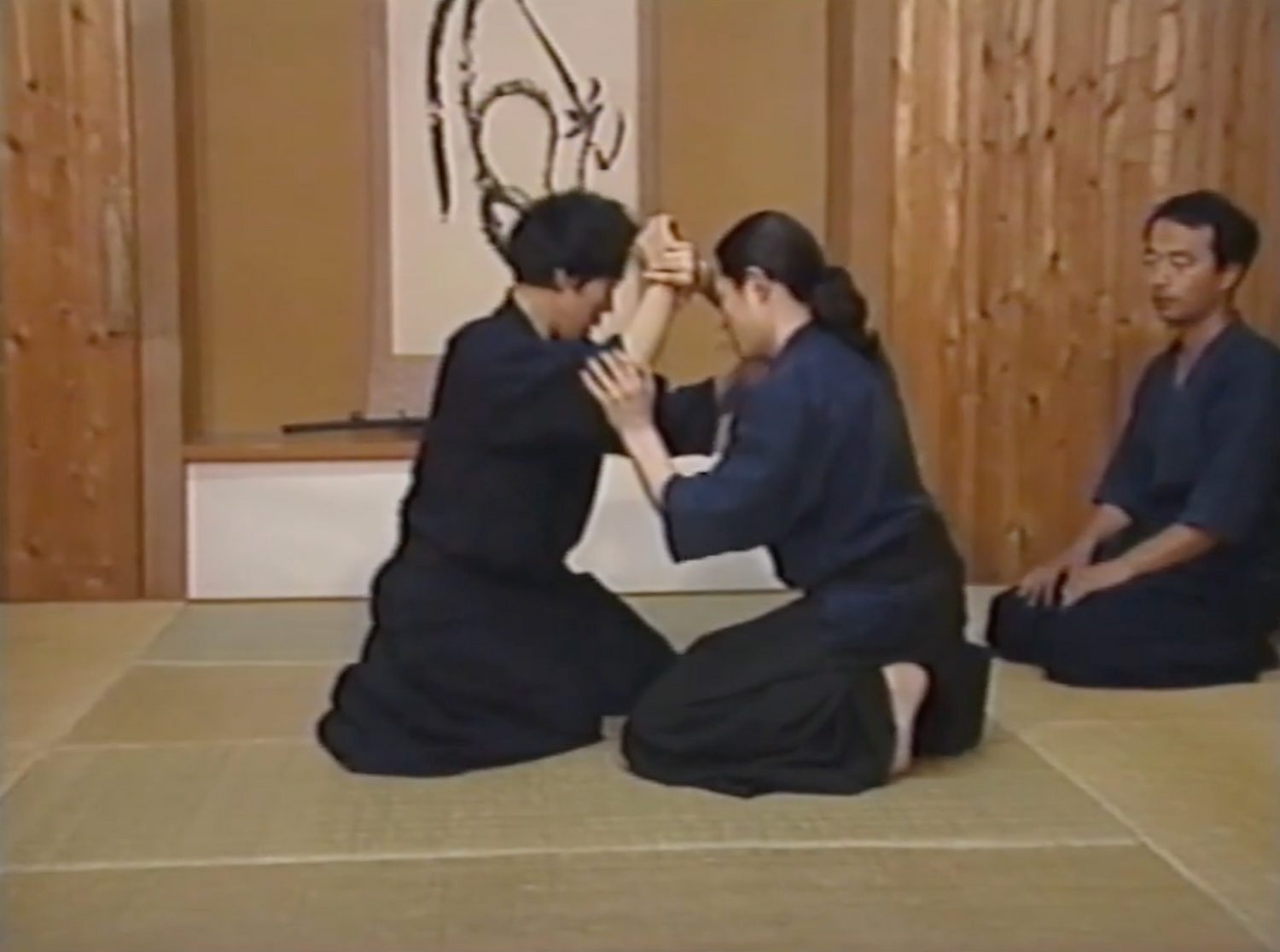 Yoshinori Kono Roots of Bujutsu 7 VHS Set (seminuevo)