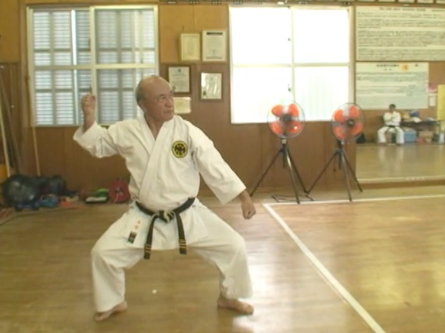 The Truth About Okinawa Karate Book & DVD (Preowned)